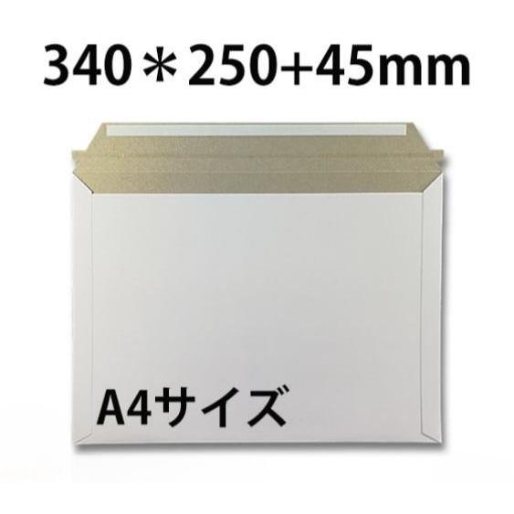 wishlist A4サイズ 本 Amazon | セキセイ チラシケース カタログポスト A4サイズ CSP