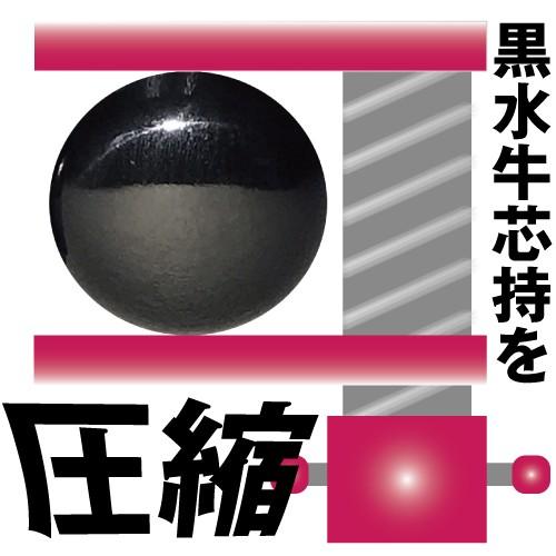 印鑑 実印 銀行印 芯持黒水牛/芯持オランダ水牛 印鑑ケース付きセット