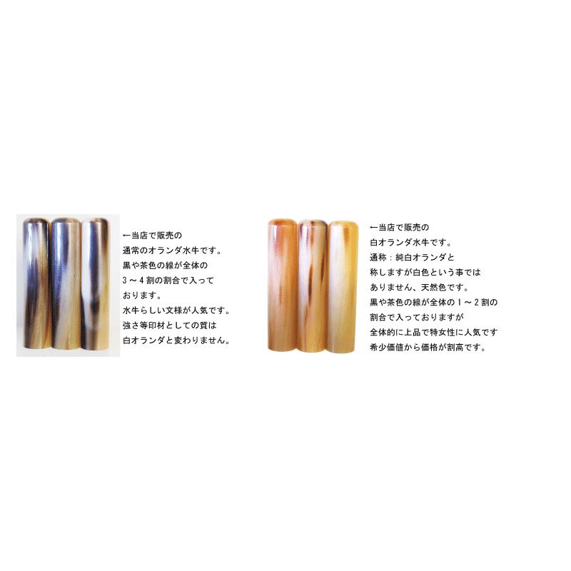 印鑑 実印 オランダ白水牛15×60ミリ・ケース付\u0026桐箱付き 贈答 実印 銀行印 外国人 英語 印鑑 外国人の画像
