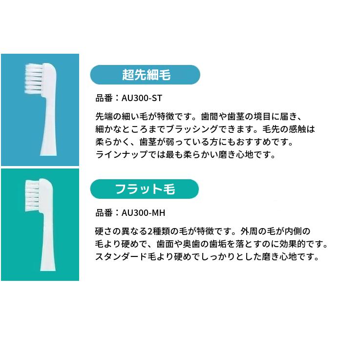 朝日医理科 超音波歯ブラシ スマイルエックス AU-300D 製造元 朝日医理科 超音波歯ブラシ スマイルエックス AU-300D 製造元