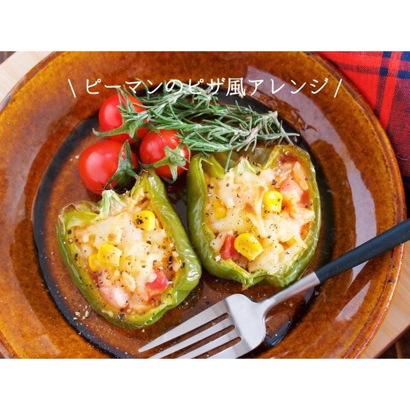 チーズ様食品 私のヴィーガン97%植物シュレッド×2袋セット|smiley-club2|06