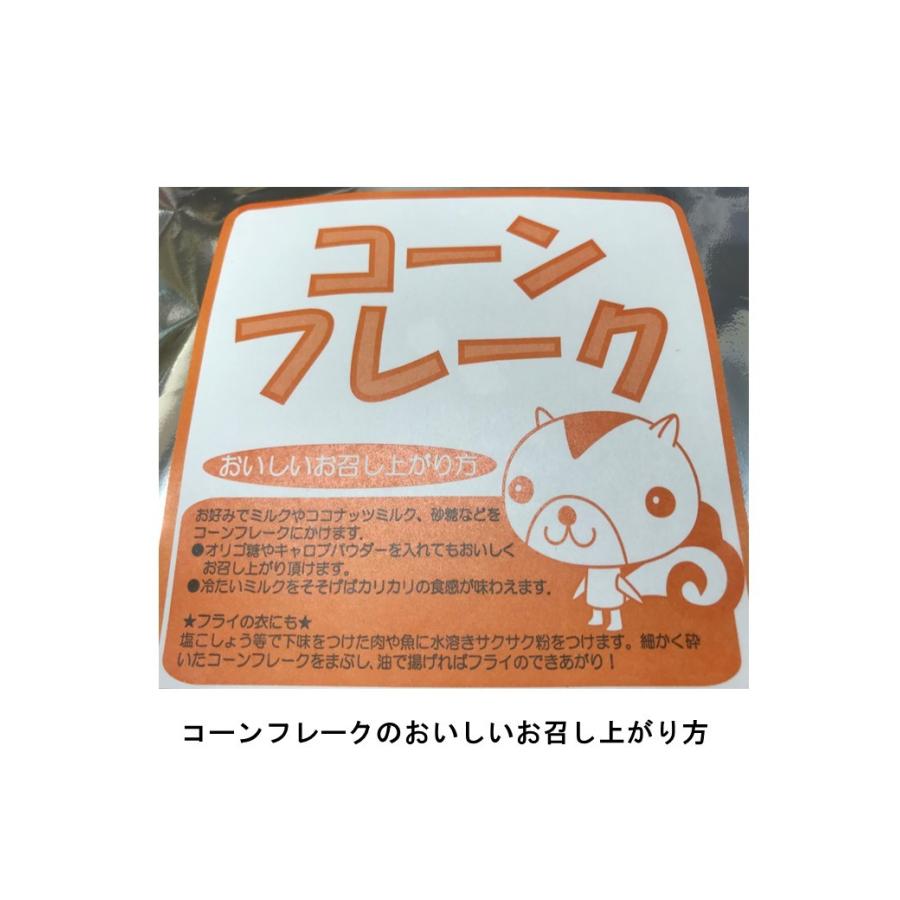 即出荷 コーンフレーク アレルギー対応グルテンフリー対応 Wantannas Go Id