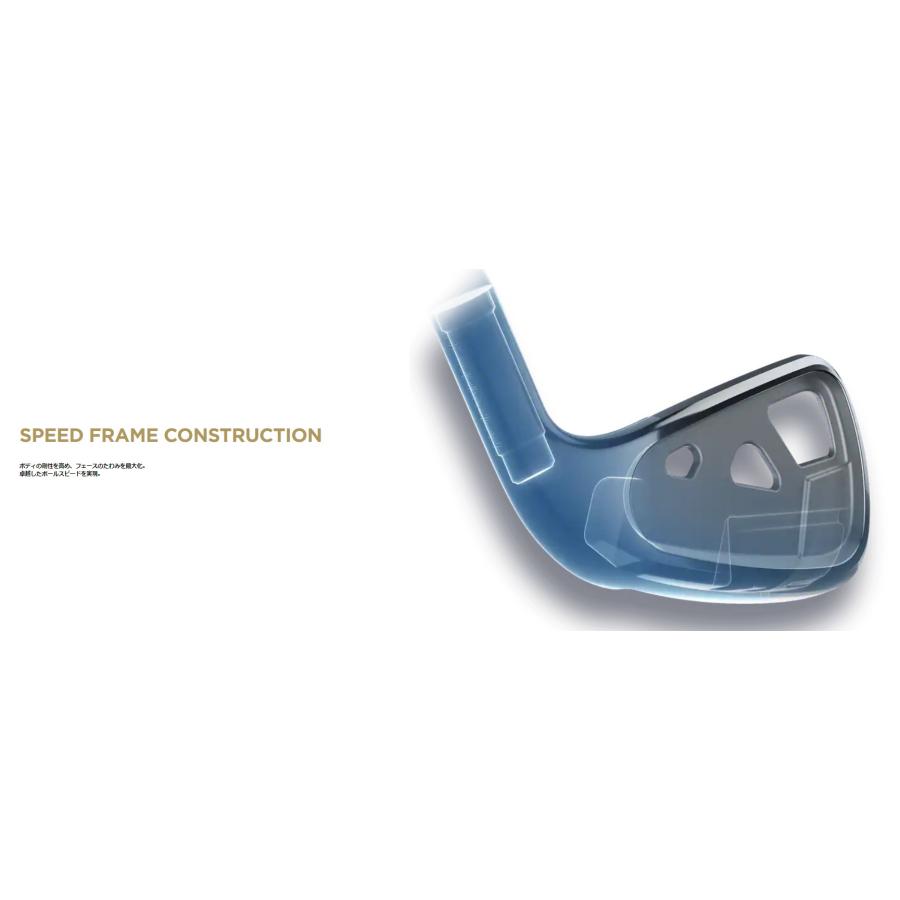 Callaway（キャロウェイ） パラダイム PARADYM アイアン N.S.PRO Zelos