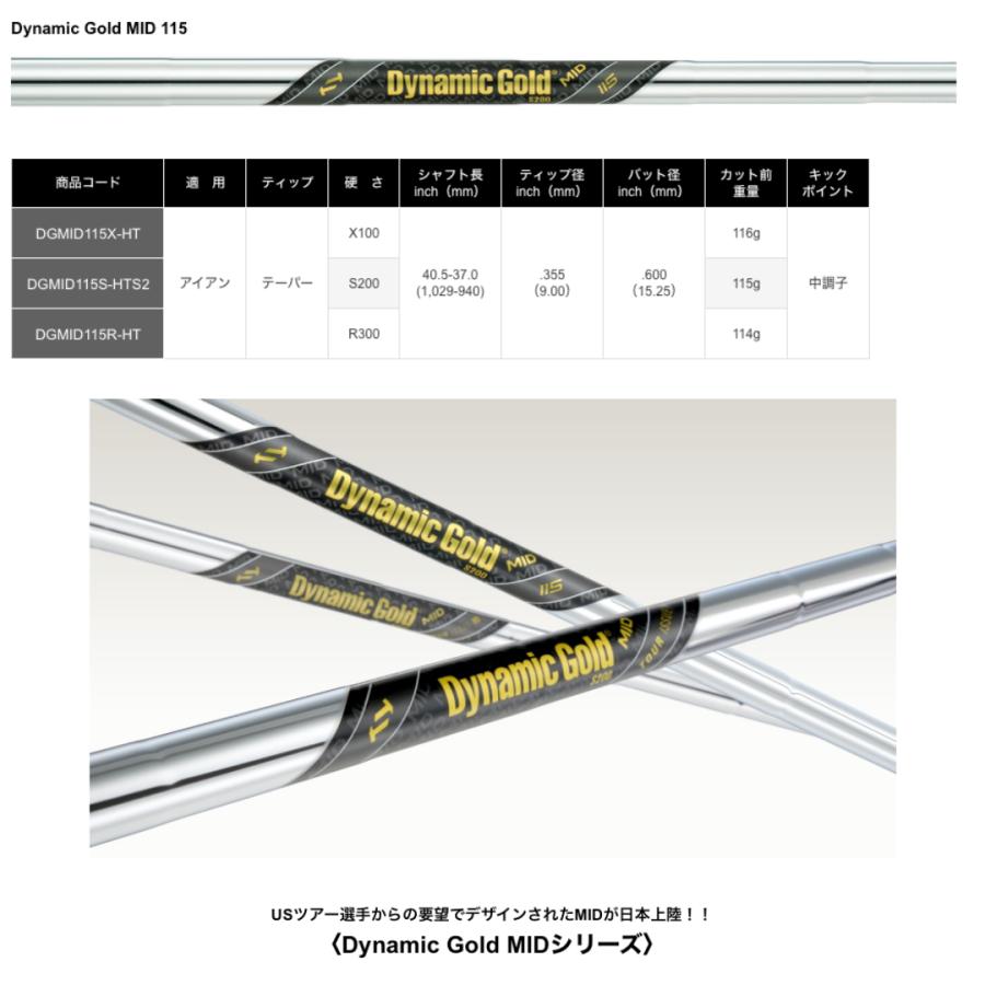 テーラーメイド P790 2025/DGツアーイシュー リシャフト 6本セット TaylorMade 2025 P790 アイアン #6〜PW 5本組 ダイナミック