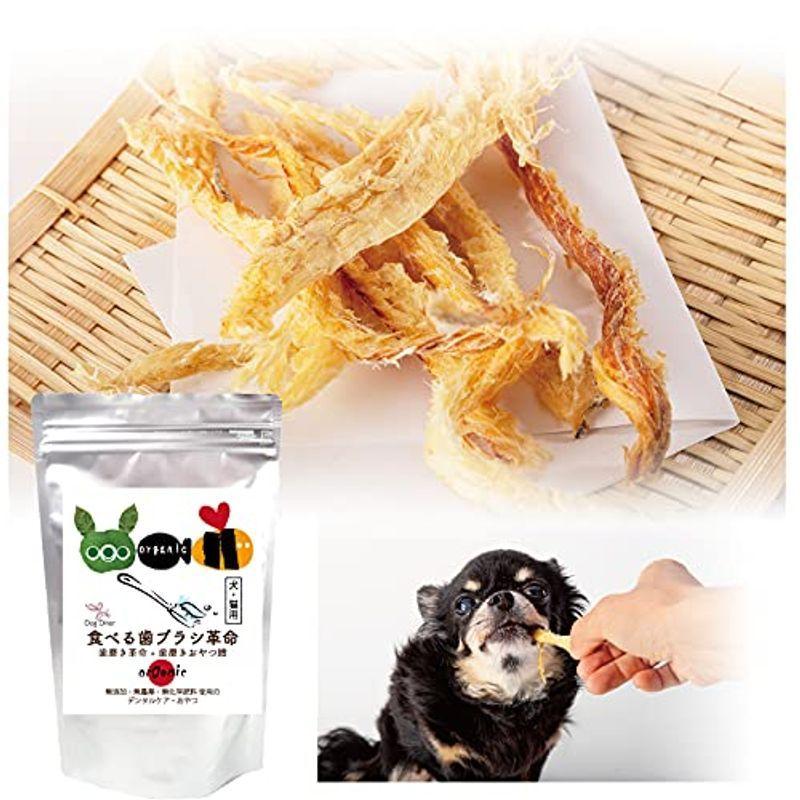 市場 犬猫用 犬猫用デンタルケア:くすりの勉強堂 118ml マキシガード 市場 犬猫用 犬猫用デンタルケア:くすりの勉強堂 118ml マキシガード