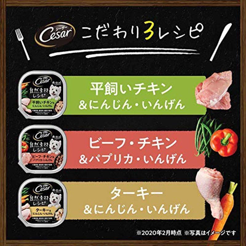 新作マット・カーペット シーザー ドッグフード 自然素材レシピ 平飼いチキン&にんじん・いんげん 85g×112個 (ケース販売) 【N2019791956】(12251円)