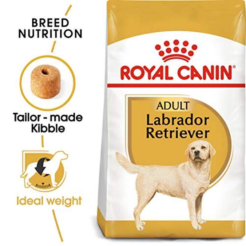 2026年 ロイヤルカナン ラブラドールレトリバー 成犬・高齢犬用 12kg 【H1844366225】(11187円)