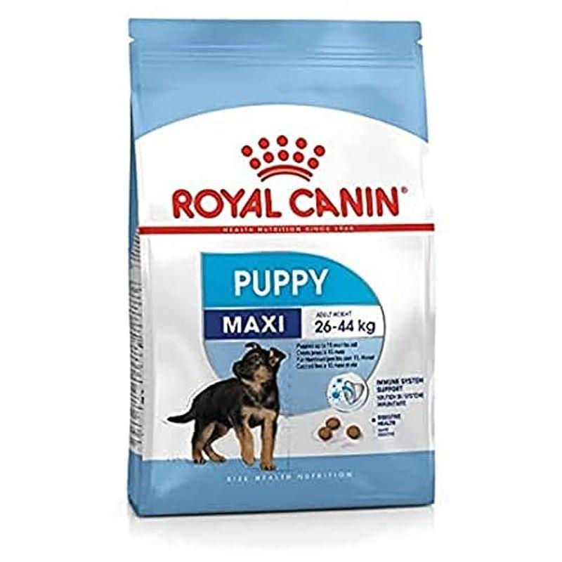 ロイヤルカナン SHN マキシ ジュニア 犬用 10kg