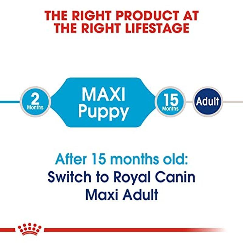 ロイヤルカナン SHN マキシ ジュニア 犬用 10kg ロイヤルカナン SHN マキシ ジュニア 犬用 10kg 　