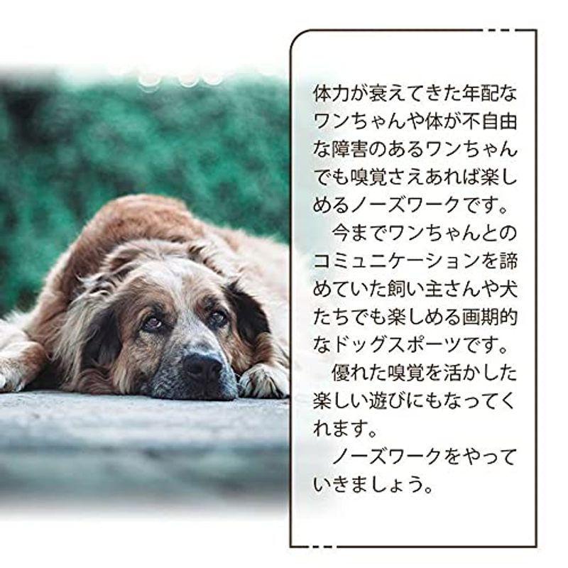 にんじん畑 犬 おもちゃ にんじん収穫隊 Ycyhhhwノーズワークマット 知育玩具 ペット用品 犬用品 犬のおもちゃ 噛む 運動不足 ストレス解消 家の破壊防止対策 人参8個 在庫処分