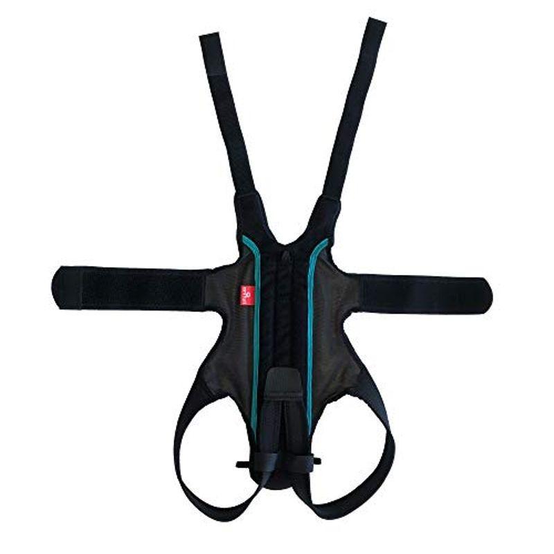 アニフル (anifull) わんコル 緑 M 犬用コルセット アニフル anifull わんコル 緑 犬用コルセット 　