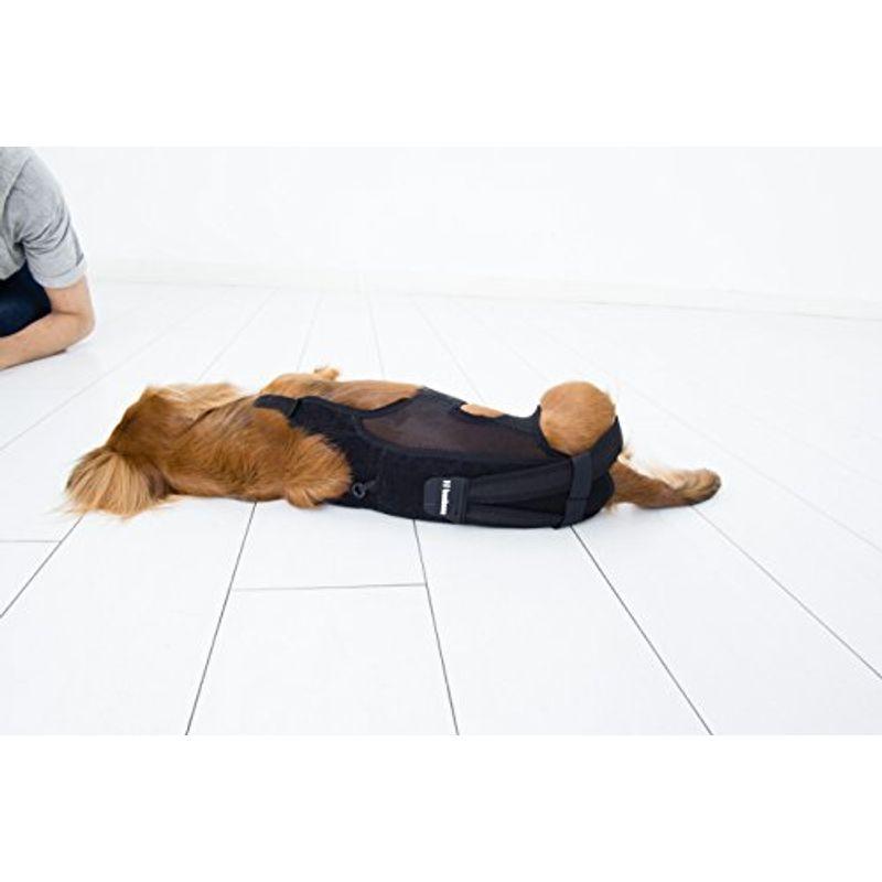 アニフル (anifull) わんコル 緑 M 犬用コルセット アニフル anifull わんコル 緑 犬用コルセット 　