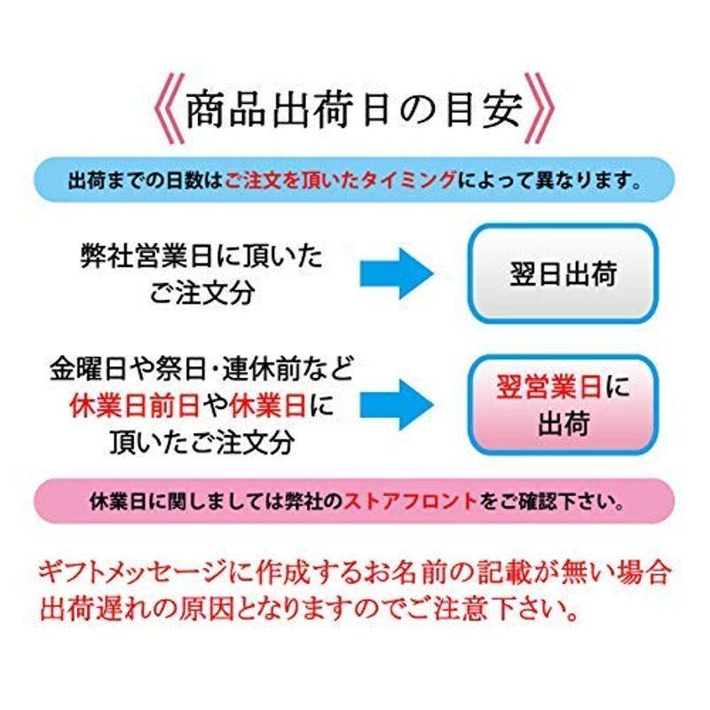 慶弔用 はんこ スタンプ台セット ( 薄墨 急なお葬式 法要 慶事 弔事 ゴム印 葬式 結婚式) 印鑑、印章、スタンプ ぐんまちゃん キャップレスネーム印 15ミリ丸(少し大きめ)