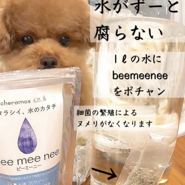 ビーミーニービッグ BeeMeeNee ビーミーニー 飲料水改質触媒 ビッグ dog – beemeenee