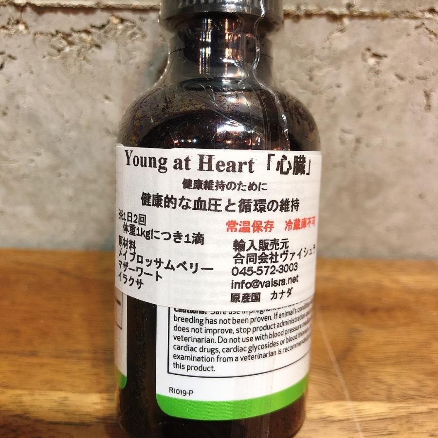 心臓病に！！Pet Wellbeing 「Young at Heart」 YoungatHeartSmileyDirect 通販