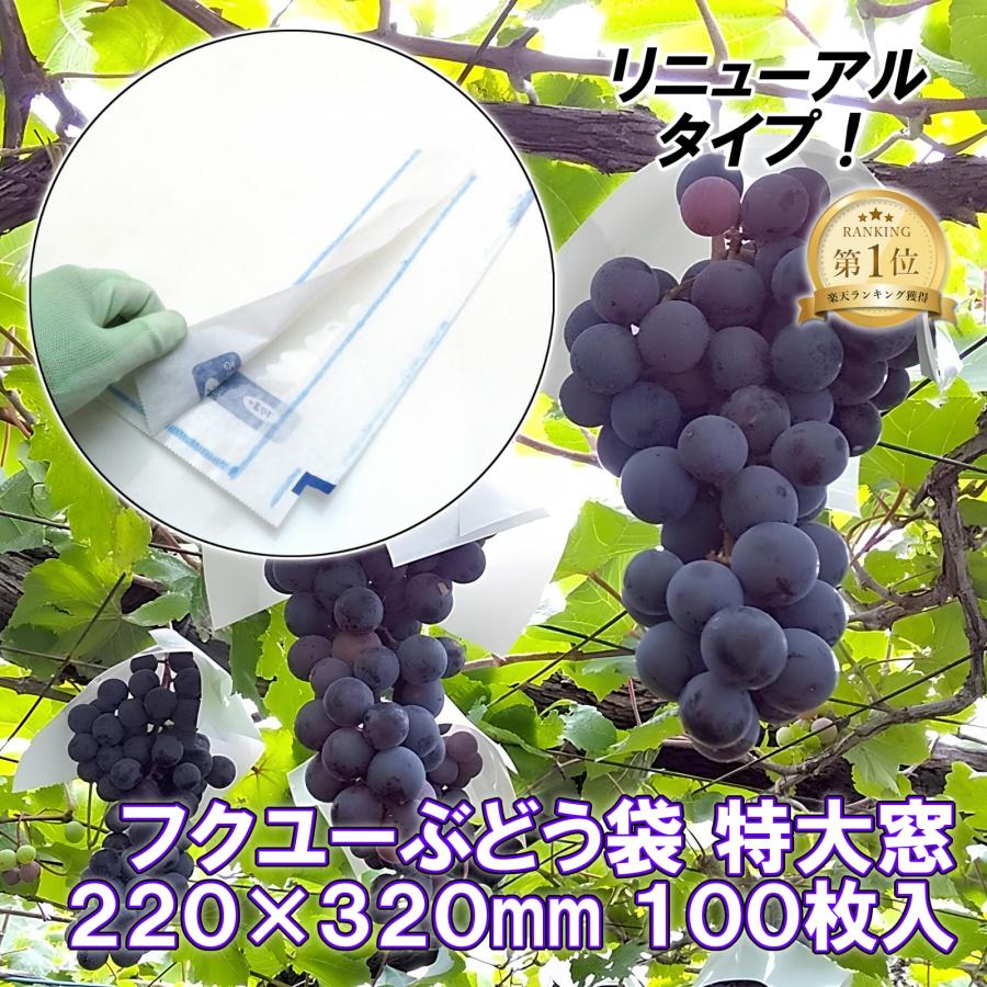ぶどう袋 特大窓 220×320mm 100枚入 セロハン窓付 窓付き果樹袋 透明窓