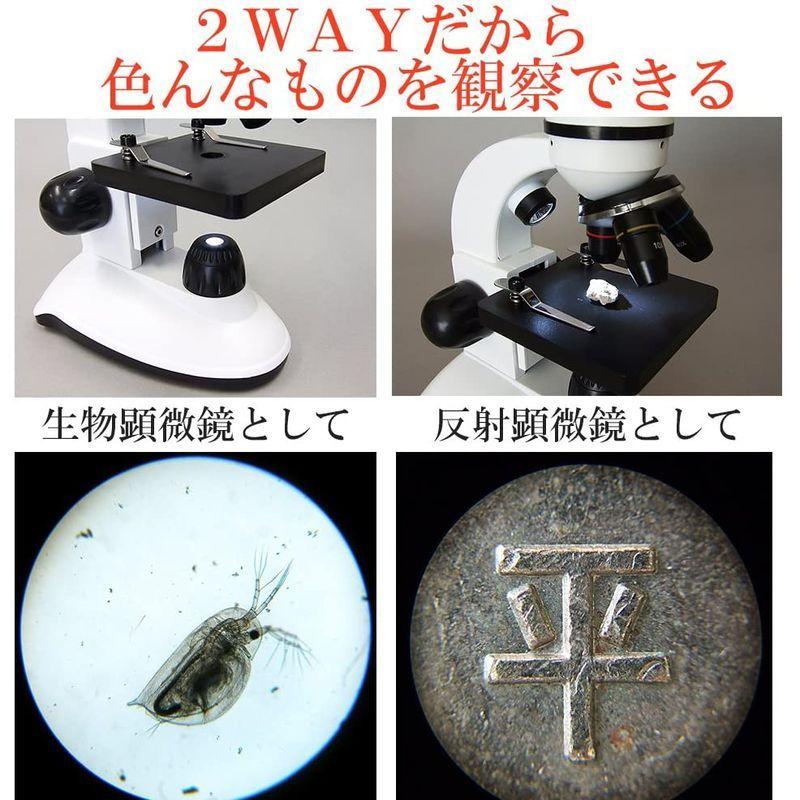 特別版：顕微鏡観察ガイド付属顕微鏡セット 40-800倍 2Way (生物顕微鏡と反射顕微鏡) マイクロスコープ スマホ撮影可 子供 小学生 800倍 2Way 生物顕微鏡と反射顕微鏡 マイクロスコープ スマホ撮影可 子供 小学生