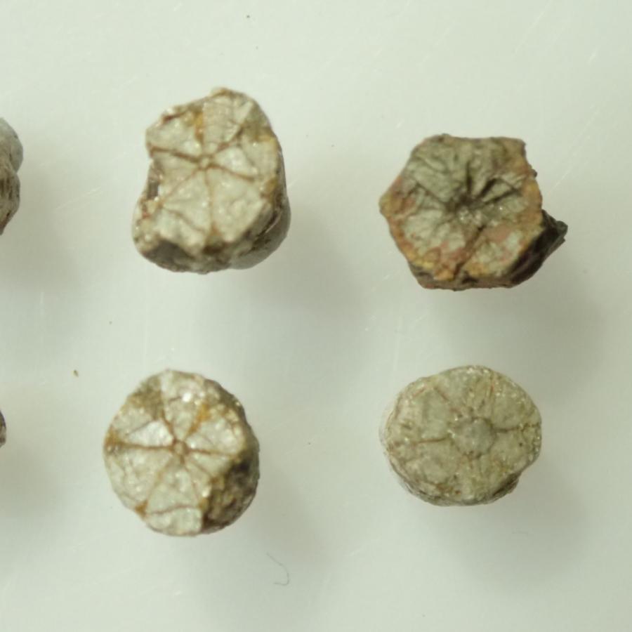 京都府 亀岡市産 桜石 菫青石仮晶 日本産 国産 天然石 パワーストーン