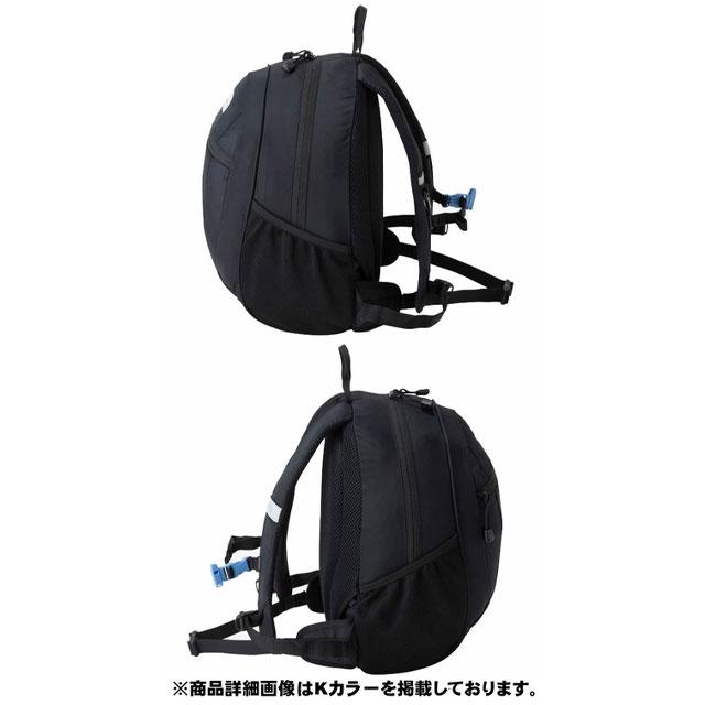 THE NORTH FACE（ザ ノースフェイス） リュックサック キッズ スモール