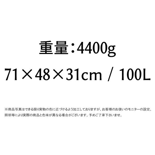 SALOMON（サロモン） キャリーバッグ メンズ レーストリップ キャビン