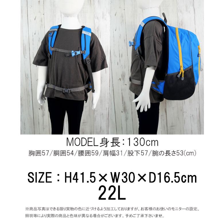 ノースフェイス　ラウンディ　キッズ　リュック　アルカリブルー　22L THE NORTH FACE（ザ ノースフェイス） リュック キッズ 男の子 K
