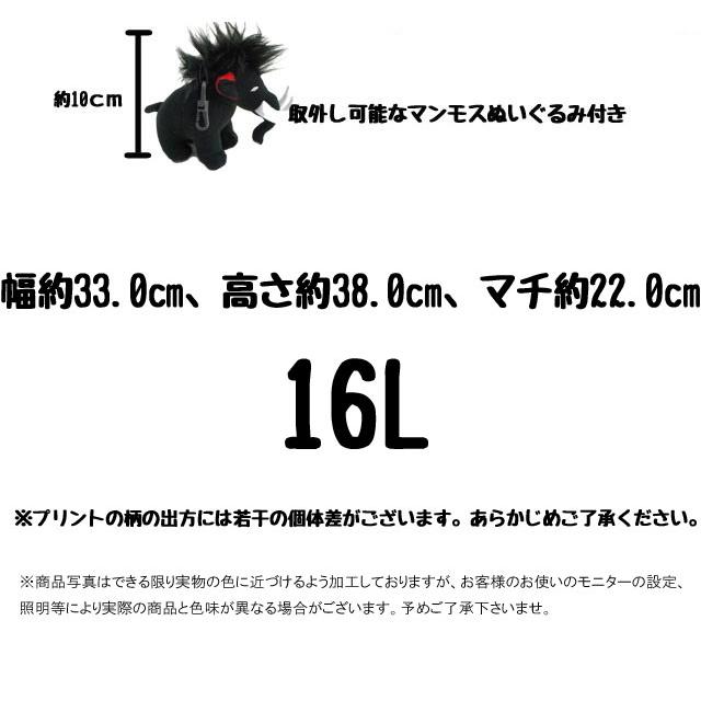 マムート  男の子 女の子 キッズ チャイルド ジュニア リュック ファーストジップ 16L デイパック バッグ バック バックパック デイバッグ 2510-01542 BAG | MAMMUT | 18