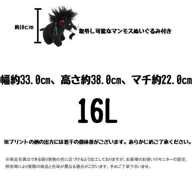 マムート  男の子 女の子 キッズ チャイルド ジュニア リュック ファーストジップ 16L デイパック バッグ バック バックパック デイバッグ 2510-01542 BAG｜smw｜19