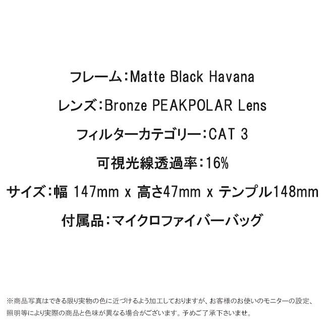 100% ワンハンドレッド サングラス メンズ 60030-00004 リドレー 