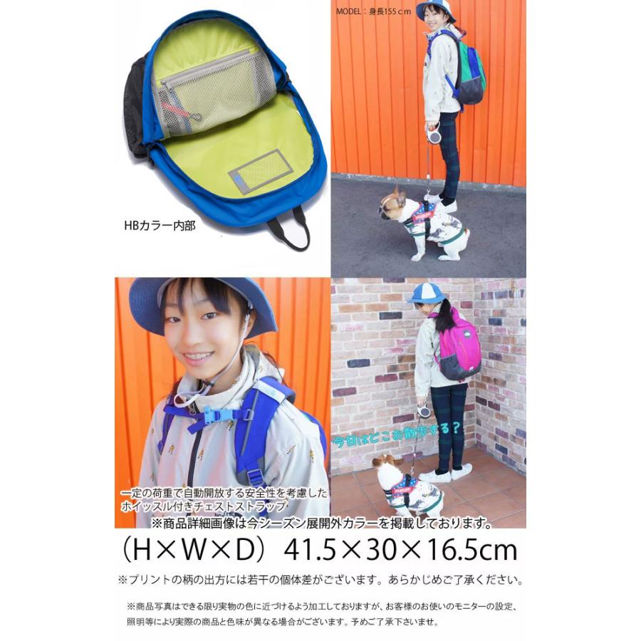 ノースフェイス　ラウンディ　キッズ　リュック　22L 公式】ラウンディ（キッズ）｜ザ・ノース・フェイス公式ストア