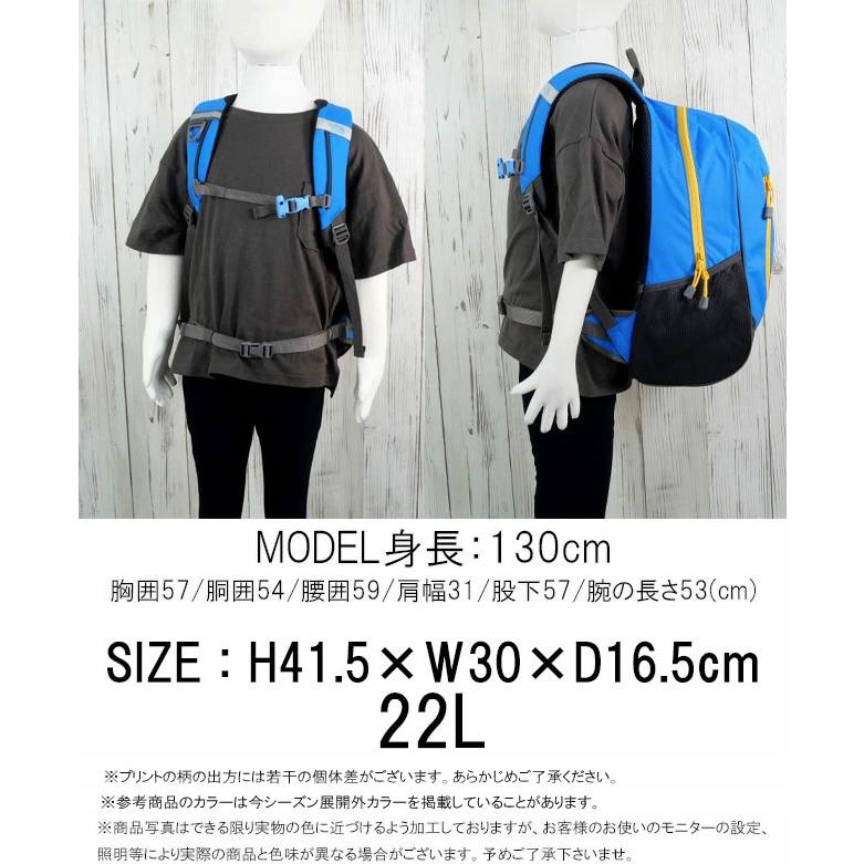 THE NORTH FACE（ザ ノースフェイス） リュックサック キッズ ジュニア