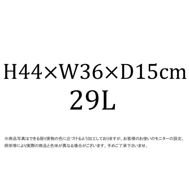 ノースフェイス リュックサック メンズ NM82410 メトロスケープデイパック バックパック リュック キャンプ ピクニック ハイキング デイリーユース タウンユース｜smw｜09