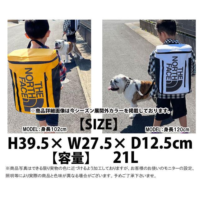 THE NORTH FACE ザ・ノース・フェイス リュックサック キッズ THE NORTH FACE ザ・ノース・フェイス リュックサック キッズ