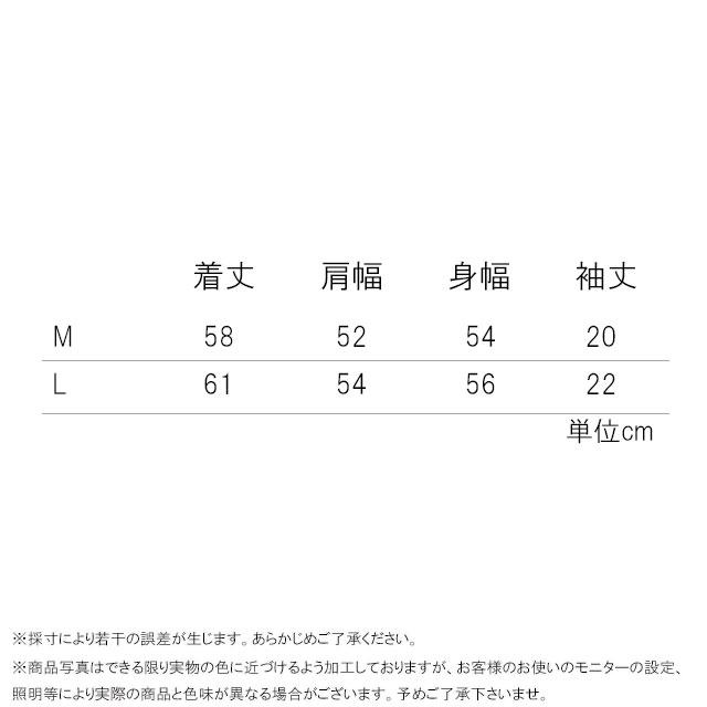 チャンピオン ショートスリーブリンガーTシャツ レディース CW-B316 半袖 ロゴ ティーシャツ プリント トップス アパレル ライン ウェア スポーティ パイピング | Champion | 10
