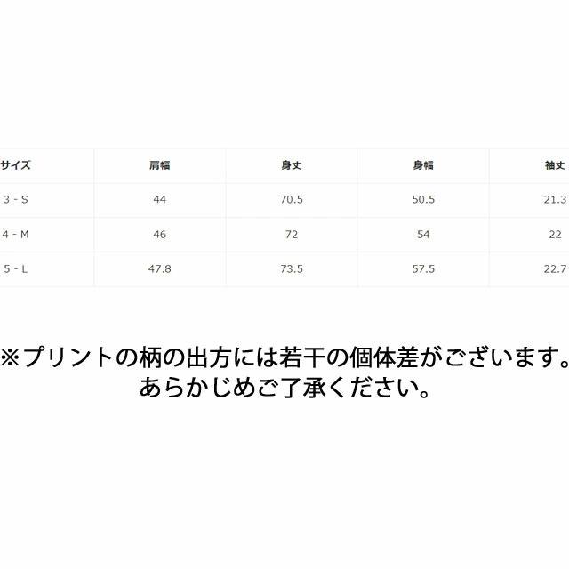 ラコステ トップス メンズ ウルトラドライ総柄ゴルフポロシャツ ウエア 半袖 襟付き ライン ワニ 鰐柄 刺繍 鹿の子 アパレル 服 ゴルフウエア DH5181｜smw｜05