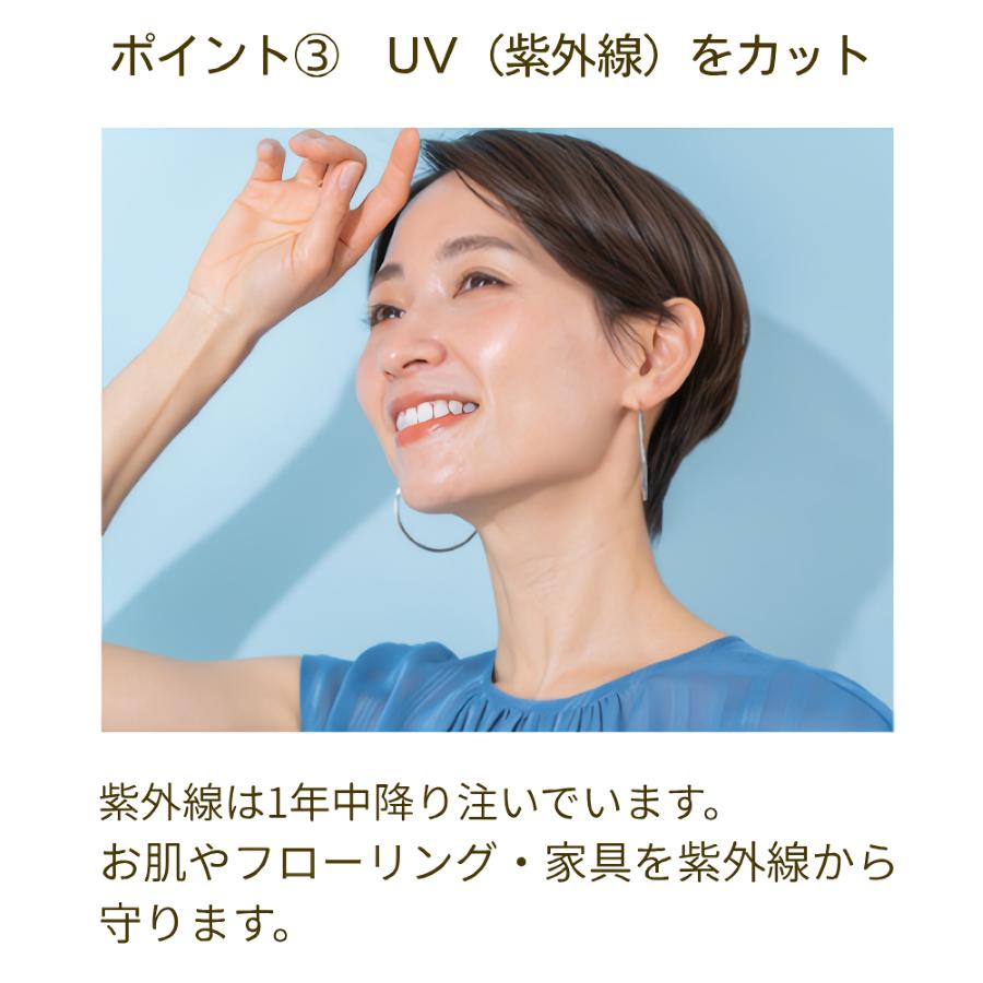 レースカーテン 2枚組 遮熱 遮像 見えにくい 防音 遮音 採光 おしゃれ