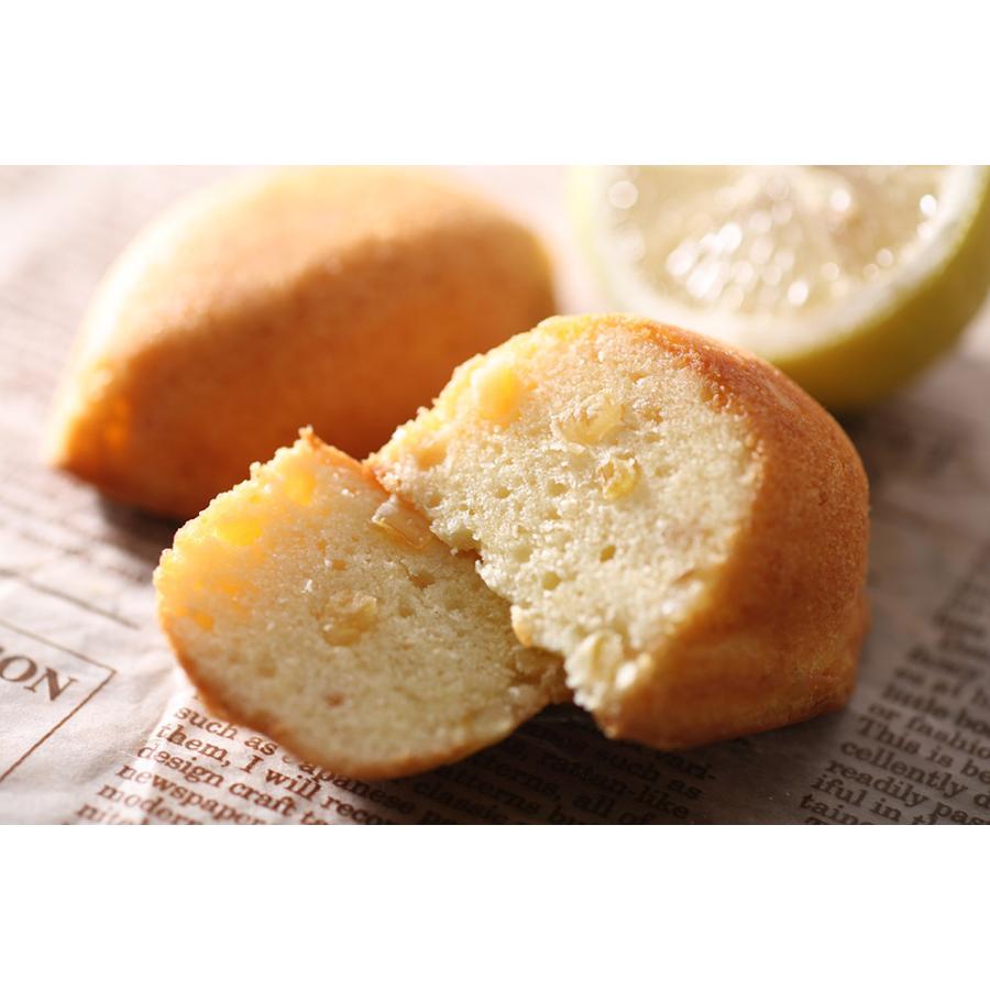 瀬戸田レモンケーキ 島ごころ 瀬戸田エコレモン使用 洋菓子 お取り寄せ 10個入り