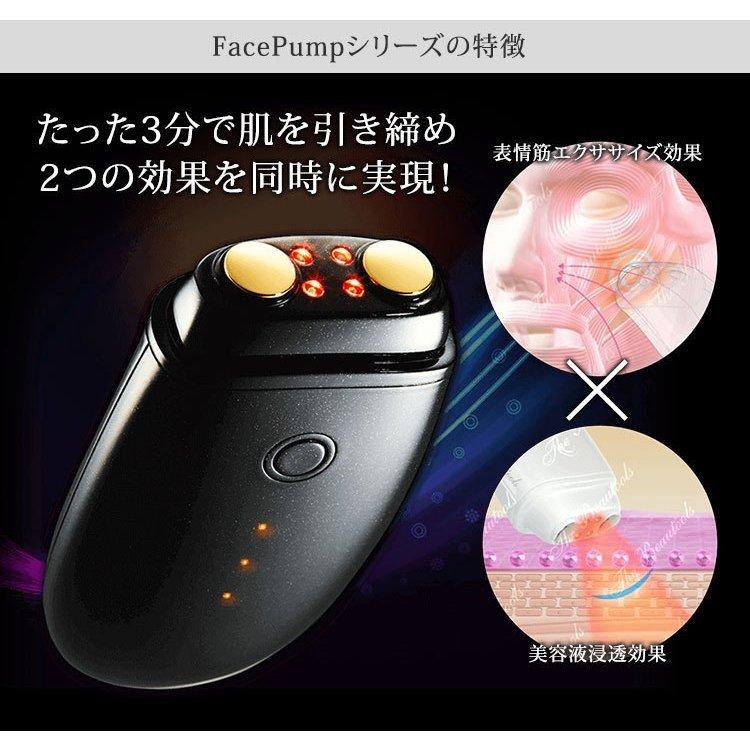 全国送料無料】フェイスポンプ プレミアム TBFP−02G EMS複合 全国送料無料】フェイスポンプ プレミアム TBFP−02G EMS複合