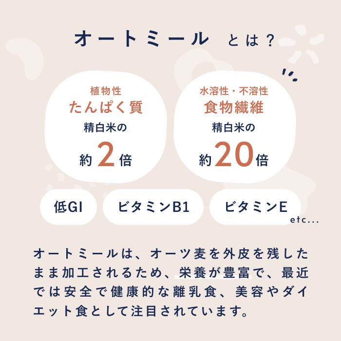 オートミール スナックミー 毎日食べたくなる 10袋入り 1950g シリアル グラノーラ ダイエット 置き換え グルテンフリー シンプル ナチュラル 糖質オフ｜snaqme｜06