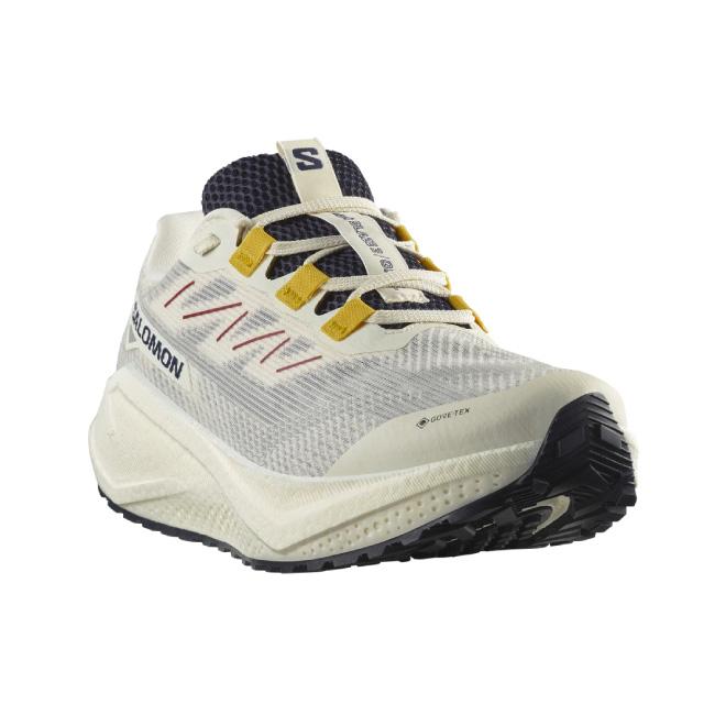 サロモン　Salomon 「mtn alu s3」 Salomon Mtn Alu S3 Bleached Aqua Bâtons de ski : Snowleader