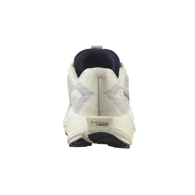 SALOMON サロモン AERO BLAZE 3 GRVL GORE-TEX エアロブレイズ3グラベルゴアテックス Vanilla Ice/Astral Aura/Lemon L47953200【 靴 スニーカー ランニング 】_2