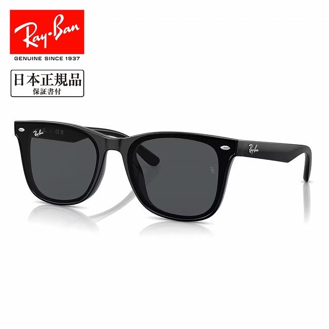 Ray-Ban RB4391D 601/87 65 アジアンフィット サングラス Ray-Ban（レイバン） RB4391D 601/87 65 RB4391D 【 日本正規品