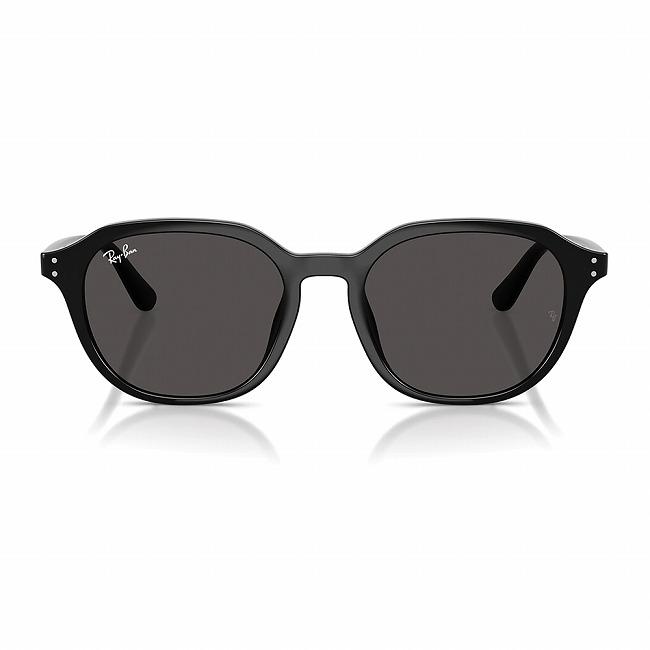 Ray-Ban（レイバン） RB4459D 901/87 54 【 日本正規品 サングラス