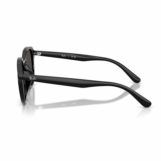 Ray-Ban（レイバン） RB4459D 901/87 54 【 日本正規品 サングラス