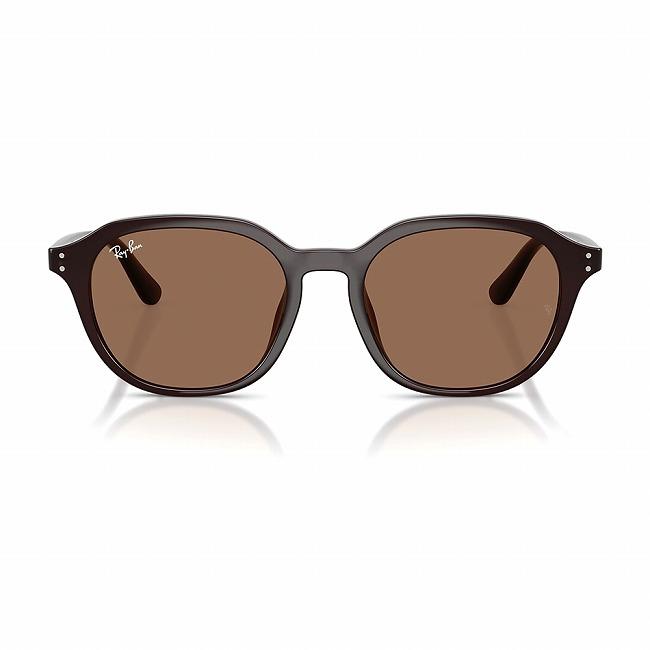 Ray-Ban（レイバン） RB4459D 623173 54 RB4459D 【 日本正規品