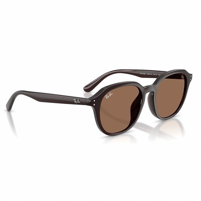 Ray-Ban（レイバン） RB4459D 623173 54 RB4459D 【 日本正規品