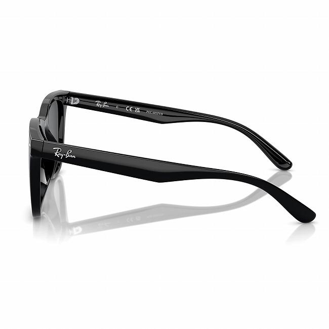 Ray-Ban（レイバン） RB4391D 601/81 65 RB4391D 【 日本正規品