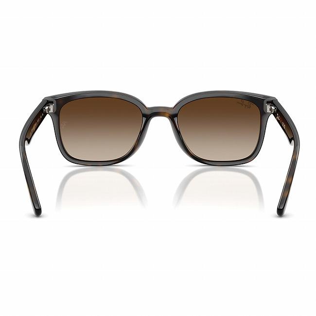 Ray-Ban（レイバン） RB4461D 710/13 64 RB4461D 【 日本正規品