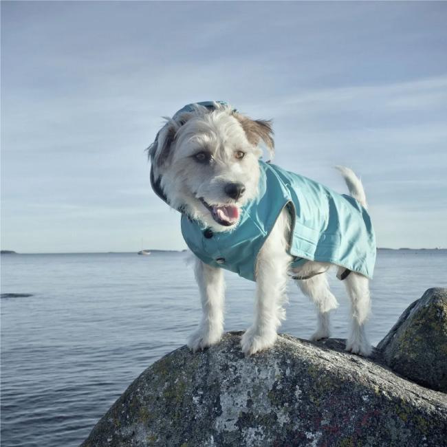 rukka pets ルッカペッツ STREAM RAINCOAT ストリームレインコート
