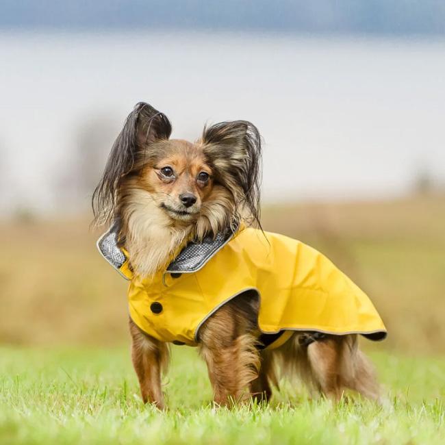 rukka pets ルッカペッツ STREAM RAINCOAT ストリームレインコート