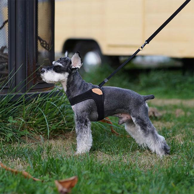 CHARLIE'S BACKYARD チャーリーズバックヤード EASY HARNESS S